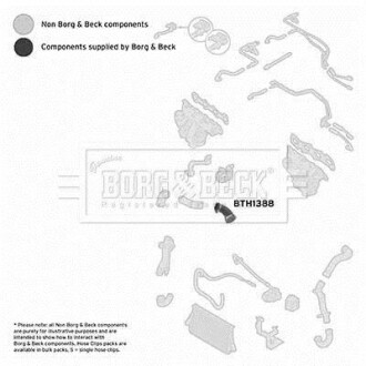 Шлангопровод - BORG & BECK BTH1388