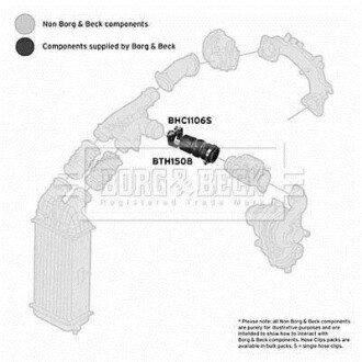 Шлангопровод - BORG & BECK BTH1508