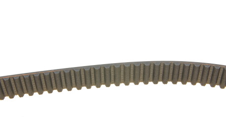 Фото 3 - Натяжний ролик ременя ГРМ Borsehung B10219