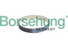 Автозапчастина Borsehung B10231 - зображення 1