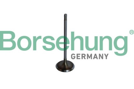 Впускний клапан OE - Borsehung B10325