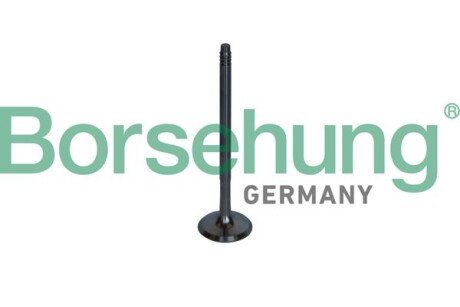 Випускний клапан OE - Borsehung B10326