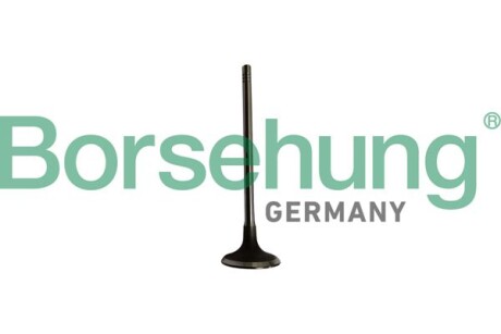 Клапан впускний - Borsehung B10334