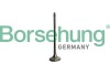 Автозапчастина Borsehung B10335 - зображення 1