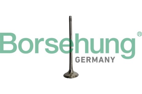 Клапан випускний - Borsehung B10335