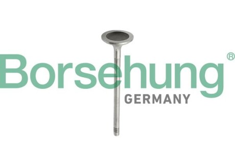 Клапаний впускний - Borsehung B10343