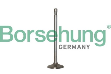 Клапаний впускний - Borsehung B10347