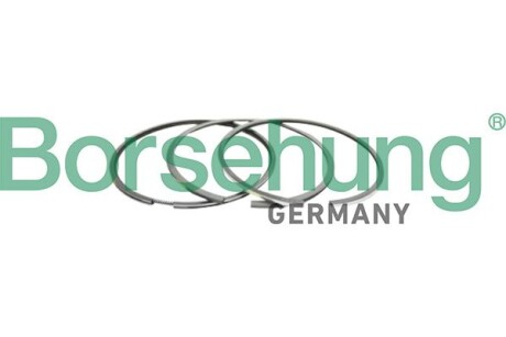 Кільця поршневі (1 к-кт) - Borsehung B10366