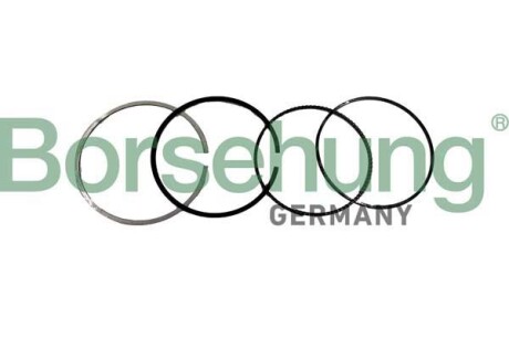 Коплект поршневих кілець - Borsehung B10371