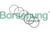 Автозапчастина Borsehung B10374 - зображення 1