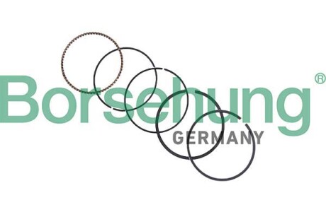 Комплект поршневих кілець - Borsehung B10374
