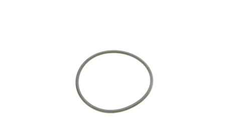 Фото 6 - Паливний фільтр Borsehung B10522