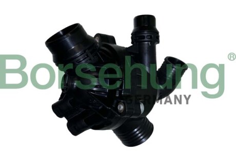 Thermostat assembly - Borsehung B10551