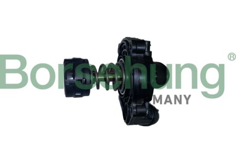 Термостат в зборі - Borsehung B10554