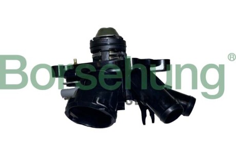 Термостат в зборі - Borsehung B10557