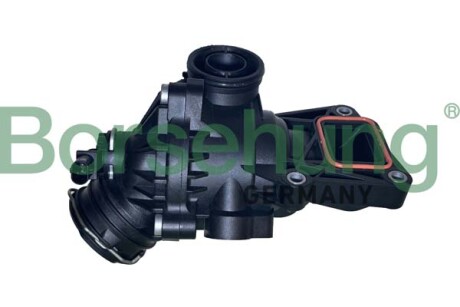 Термостат в зборі - Borsehung B10559