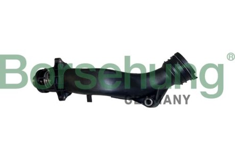 Термостат в зборі - Borsehung B10560