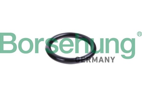 Кiльце ущiльнююче - Borsehung B10632
