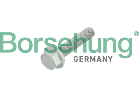 Hexagon bolt - Borsehung B10633