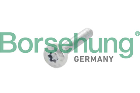 Round hd. screw - Borsehung B10634