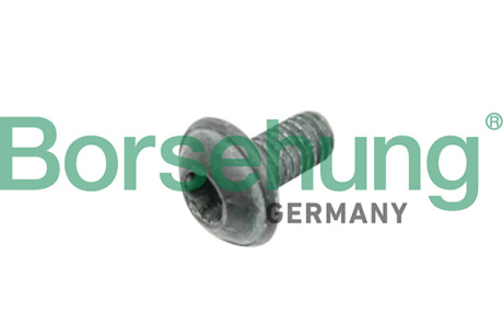 Oval hexagon socket head bolt - Borsehung B10635