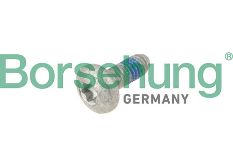 Oval hexagon socket head bolt - Borsehung B10646