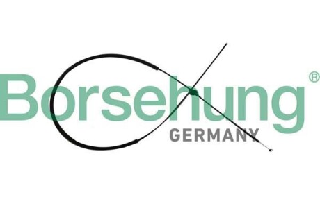 Lid lock cable - Borsehung B10782