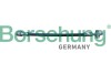 Brake hose, rear - Borsehung B10951 (фото 1)