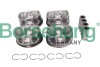 Автозапчастина Borsehung B11145 - зображення 1