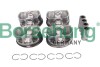 Автозапчастина Borsehung B11145 - зображення 2