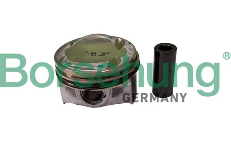 Поршень в зборі; З поршневими кільцями; 1 ШТ - Borsehung B11150