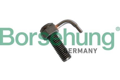 Форсунка оливна - Borsehung B11162