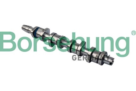 Розподільний вал - ((038109101AF)) Borsehung B11323