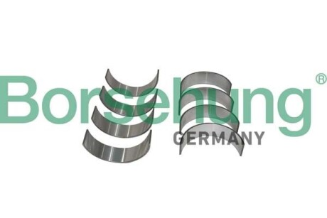 Фото автозапчасть Borsehung Borsehung B11383: Купить на tto.com.ua