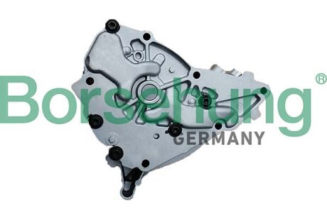 Насос оливний - Borsehung B11902