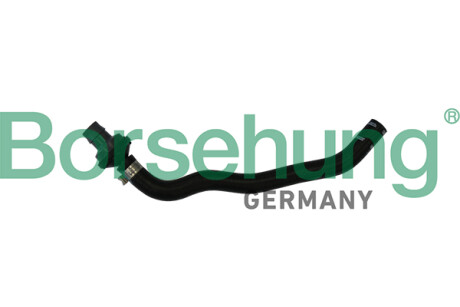 Шланг, продування картера - ((058905291N)) Borsehung B11971