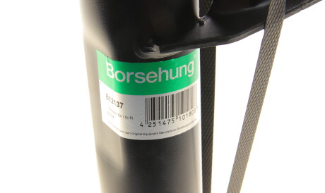 Фото 2 - Стійка амортизатору (амортизатор) Borsehung B12137