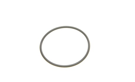 Фото 5 - Топливный фильтр Borsehung B12214