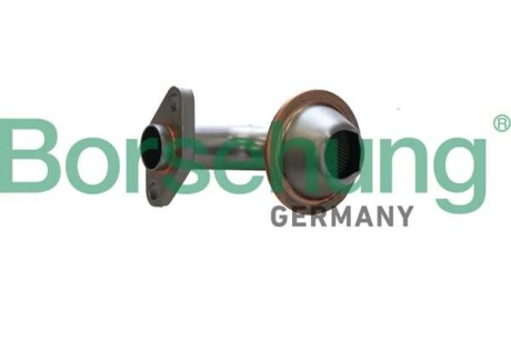Oil pump strainer - Borsehung B12308