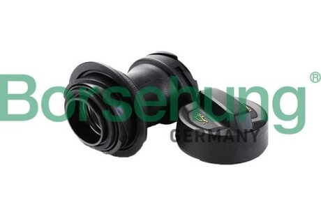 Комплект кришка,горловина - Borsehung B12389