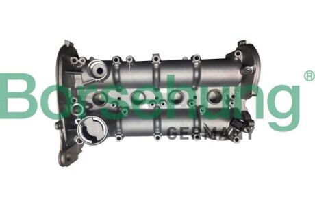 Комплект кулачкового вала - Borsehung B12392