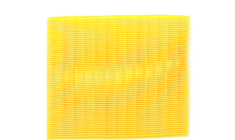 Фото 2 - Воздушный фильтр Borsehung B12396