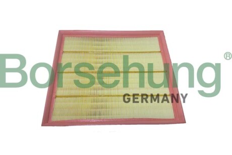 Air filter element - Borsehung B12443