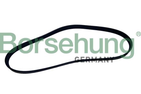 Поліклиновий ремінь; 5PK865S - Borsehung B12499