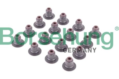 Сальник клапану; 16 pieces - Borsehung B12506