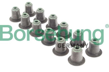 Oil seal for valve, intake, 12 pieces - Borsehung B12507