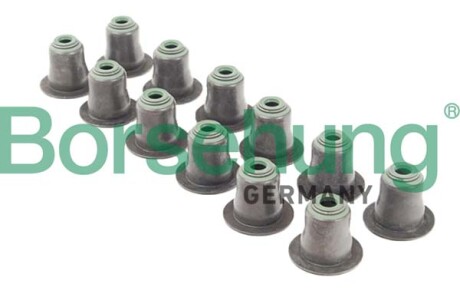 Oil seal for valve, exhaust, 12 pieces - Borsehung B12508