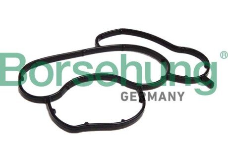 Seal for oil filter bracket - Borsehung B12529