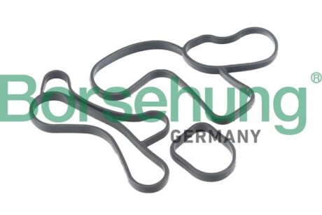 Gasket for oil cooler - Borsehung B12530