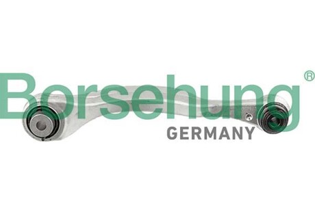 Control arm, rear, left - Borsehung B12552